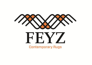 Feyz Contemporary Rugs