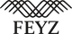 Feyz Contemporary Rugs