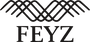 Feyz Contemporary Rugs